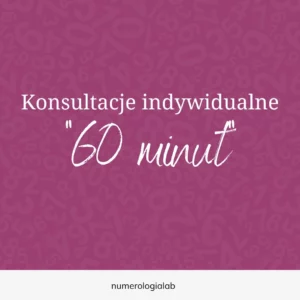 konsultacje indywidualne 60 min